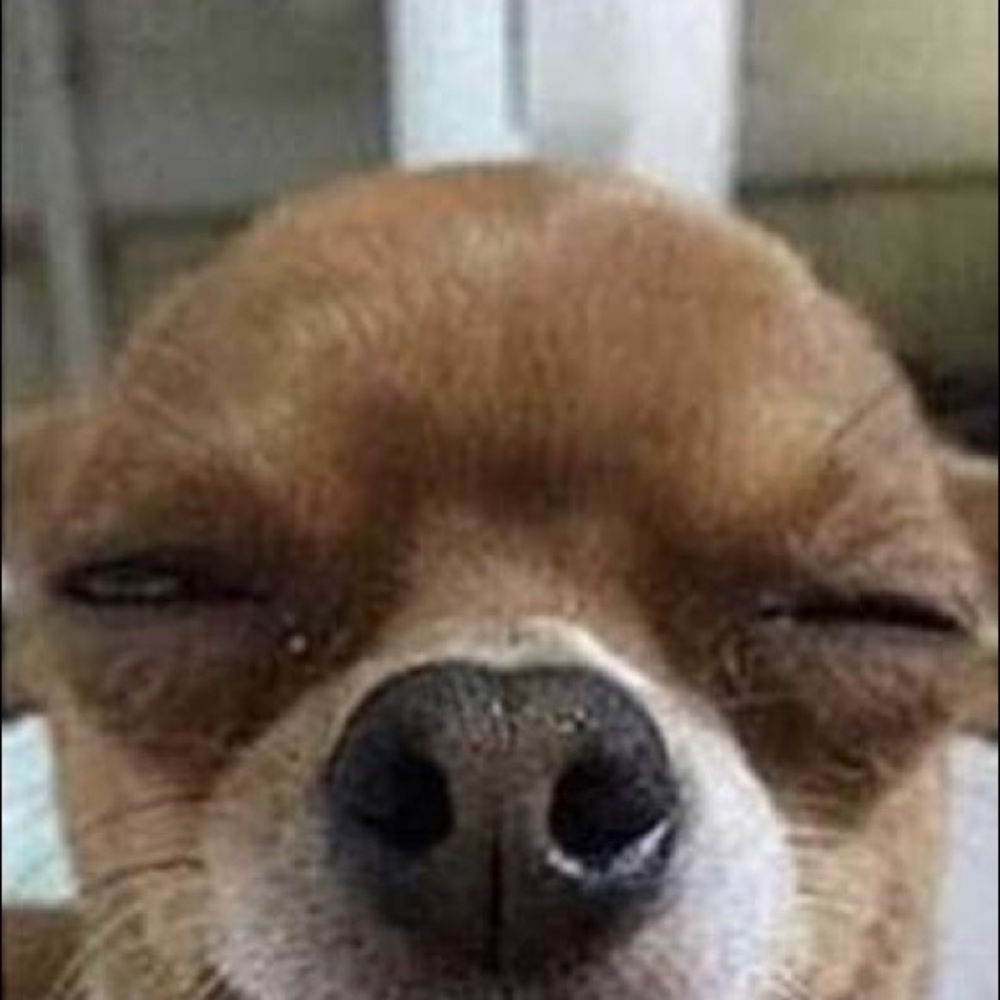 Meet your Posher, Ajon